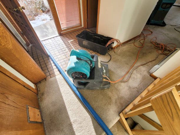 Best 24-hour water damage restoration  in Weston, FL