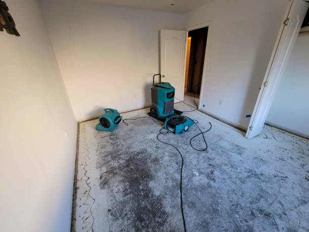 Best Flooded house restoration  in Weston, FL