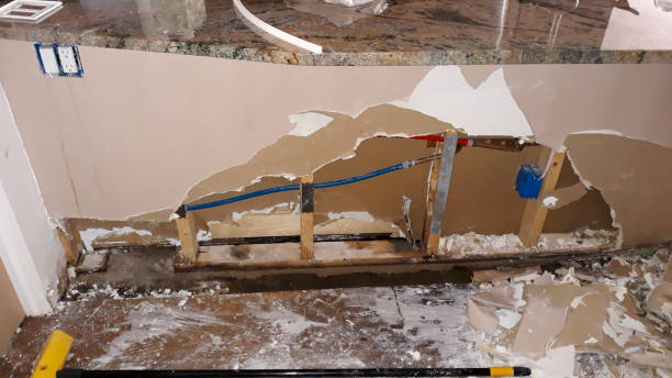 Best 24/7 water damage repair  in Weston, FL