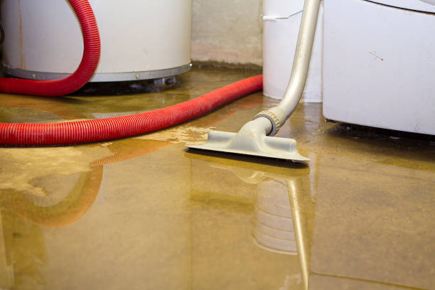Best Water damage restoration near me  in Weston, FL