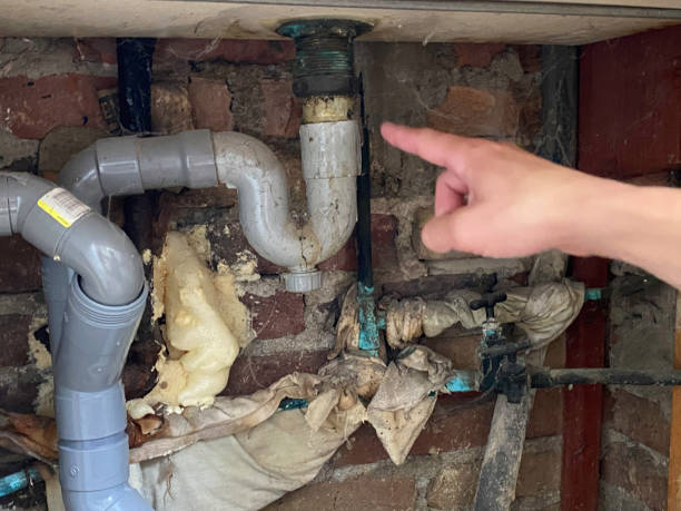 Best Mold removal after water damage  in Weston, FL