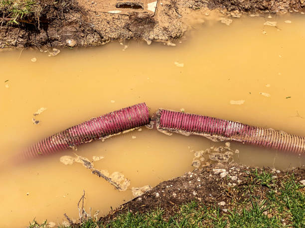 Best Flood restoration services  in Weston, FL