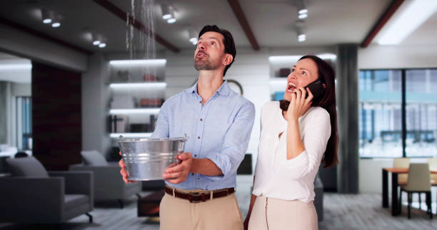 Best Water damage restoration cost  in Weston, FL